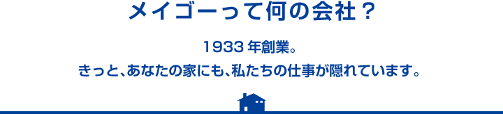 メイゴーって何の会社？